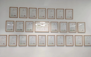 Abbiamo fatto domanda e ci sono stati concessi 11 brevetti di innovazione.