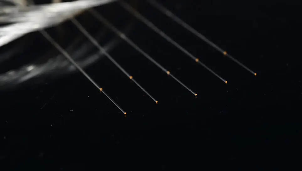 Fibra nuda rivestita AR