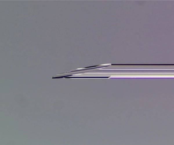 fibra lentata